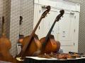 Guarneri House brought basses and fiddles to Farmers Branch Bluegrass Festival 2025