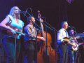 Alan Bibey & Grasstowne at Bloomin' 2022 (Nate Dalzell)