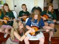 Fiddle & Pick - June 2009