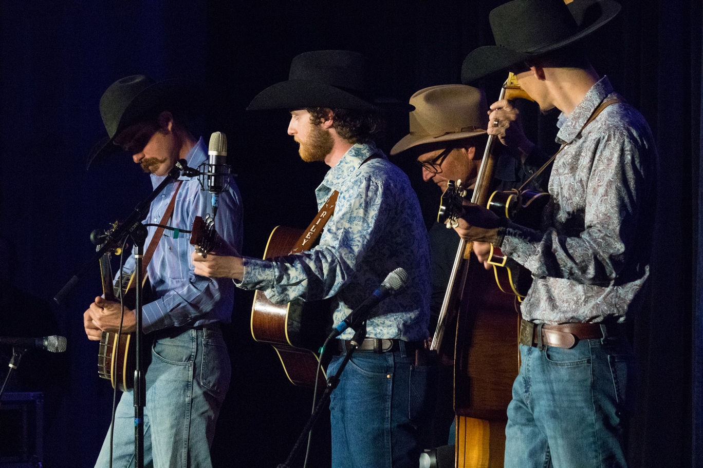 Riley Gilbreath & Lone Star Blue at Bluegrass Heritage Festival 2024 (by Nate Dalzell)