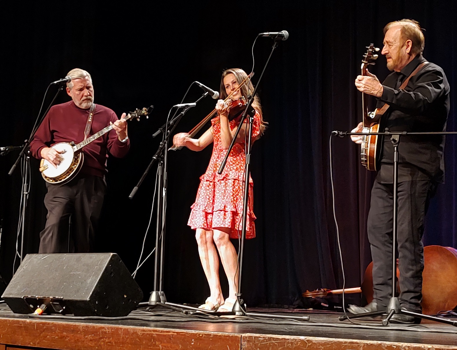 Banjoistes Extraordinarie in McKinney 11-9-2024 (by Julie Tompkins)