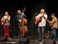 Downtown String Band in McKinney Texas Nov 16 2019 (by Leigh Taylor)