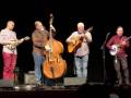 Downtown String Band in McKinney Nov 3 2018 (by Tonie Jump)