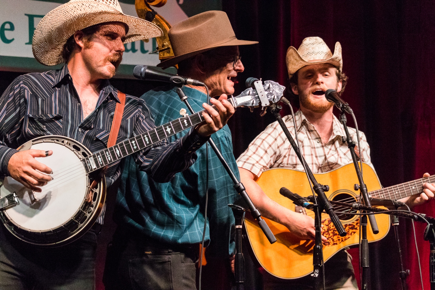 Riley Gilbreath & Lone Star Blue at Farmers Branch Bluegrass Festival 2025 (by Nate Dalzell)
