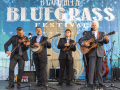 Del McCoury Band, Bloomin' 2020 (Nate Dalzell)