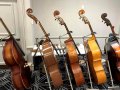 Basses on display at Great American Vintage BassFest 2025 (© Kyle Perkins)