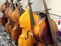 Basses on display at Great American Vintage BassFest 2025 (© Kyle Perkins)