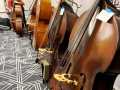 Basses on display at Great American Vintage BassFest 2025 (© Angela Personeni)