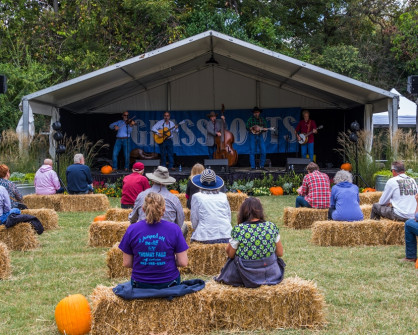 Salt Creek on the Grassroots Stage, Bloomin' 2020 (Nate Dalzell)