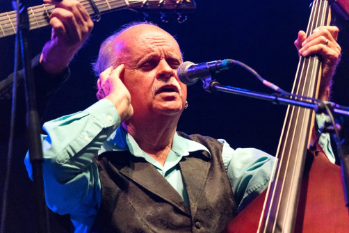 Wayne Taylor at Bloomin Bluegrass 2024 (by Nate Dalzell)