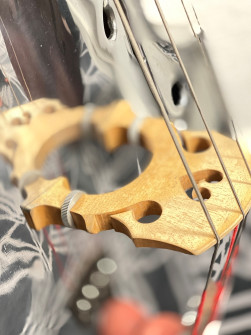 Polished 1930s Alcoa Aluminum Bass at BassFest 2024 (© Gerald Jones)