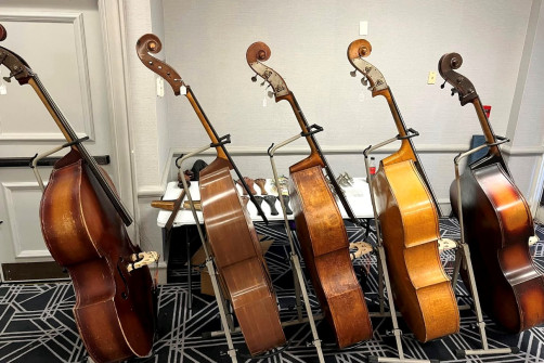 Basses on display at Great American Vintage BassFest 2025 (© Kyle Perkins)