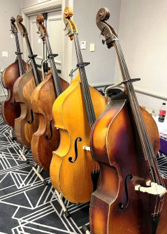 Basses on display at Great American Vintage BassFest 2025 (© Kyle Perkins)