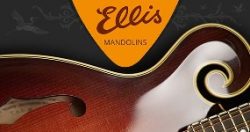 Ellis Mandolins
